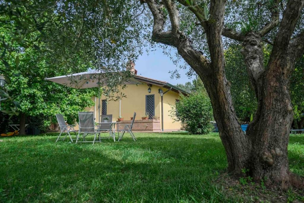 Villa Luxury Pool & Garden Pisa Eksteriør bilde