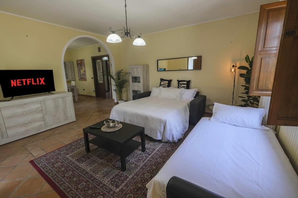 Villa Luxury Pool & Garden Pisa Eksteriør bilde